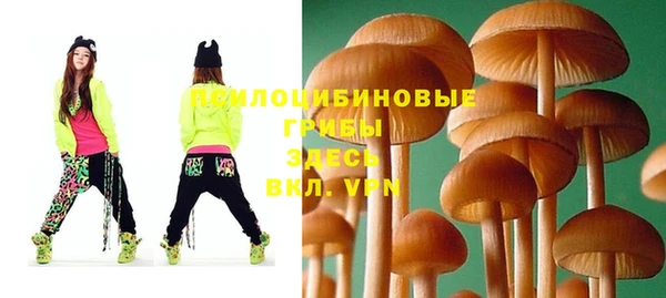 стаф Белокуриха
