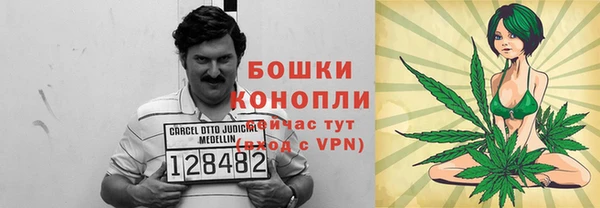 стаф Белокуриха