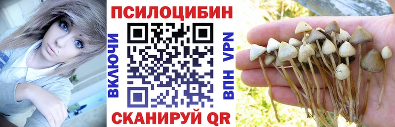 Галлюциногенные грибы прущие грибы  цены наркотик  МЕГА   Курганинск 
